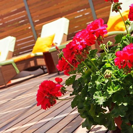 Apartments Diana - New Heated Pool Бол Экстерьер фото