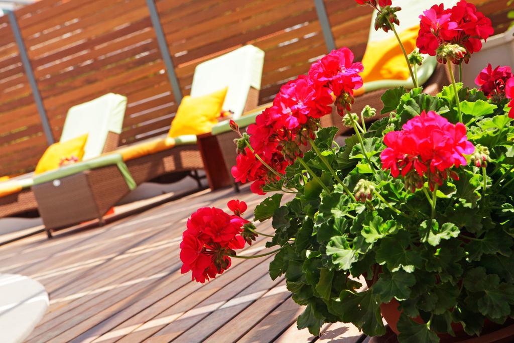 Apartments Diana - New Heated Pool Бол Экстерьер фото